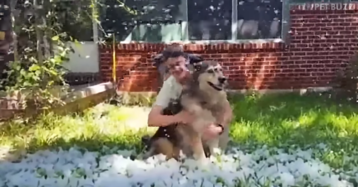 Mommy Is Fulfilling One Last Promise To Her Terminally-Ill Dog And You Will Be Moved To Tears