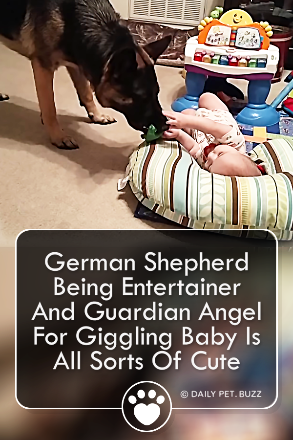German Shepherd Being Entertainer And Guardian Angel For Giggling Baby Is All Sorts Of Cute