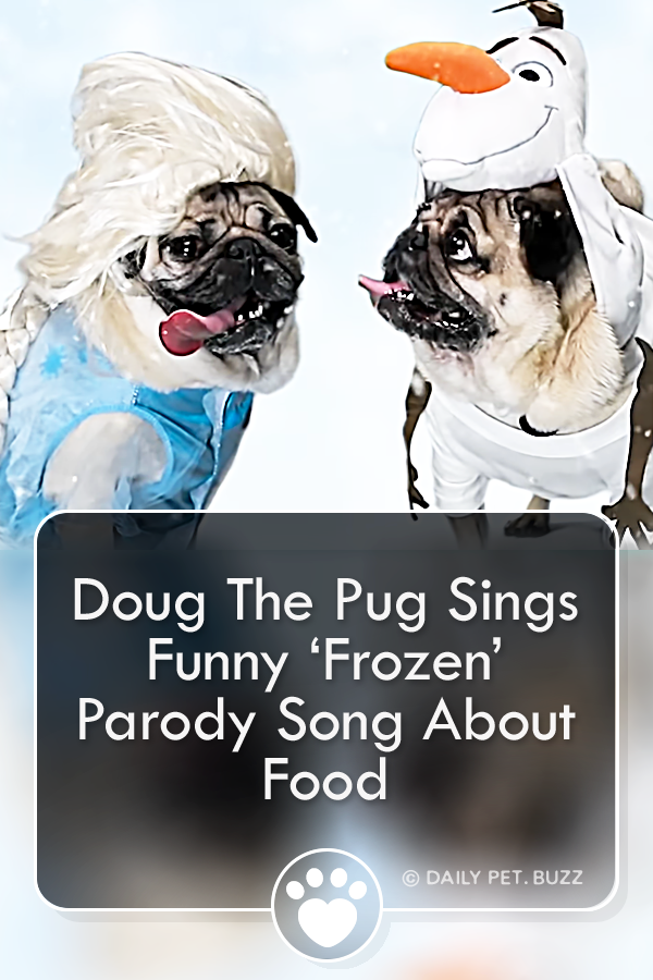 Doug The Pug Sings Funny ‘Frozen’ Parody Song About Food