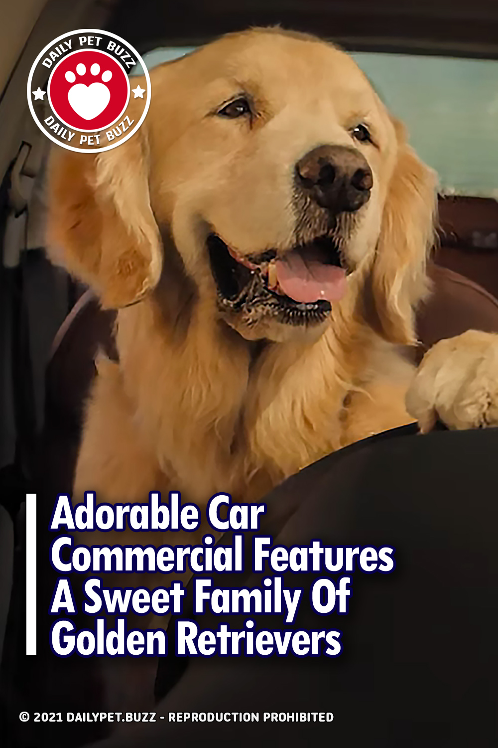 Adorable Car Commercial Features A Sweet Family Of Golden Retrievers