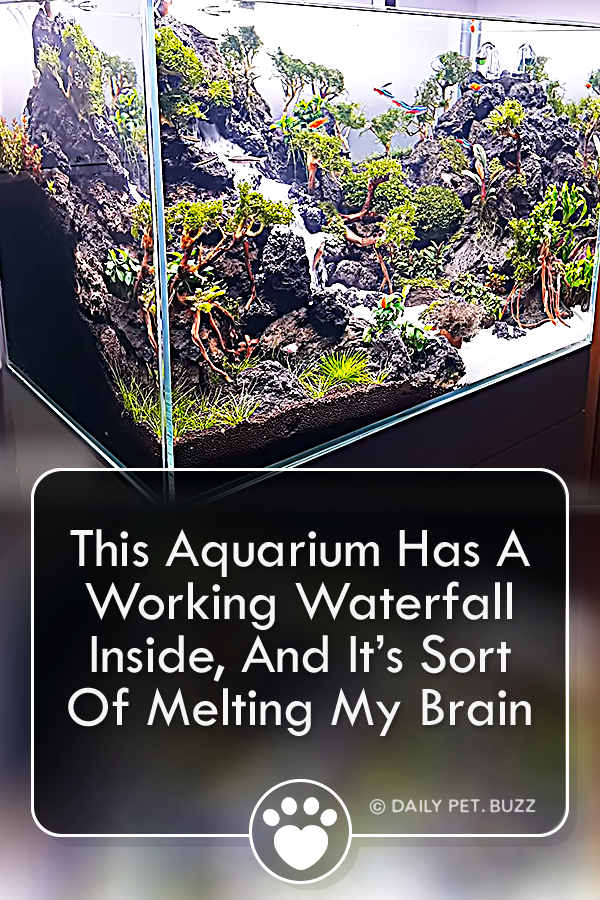This Aquarium Has A Working Waterfall Inside, And It’s Sort Of Melting My Brain