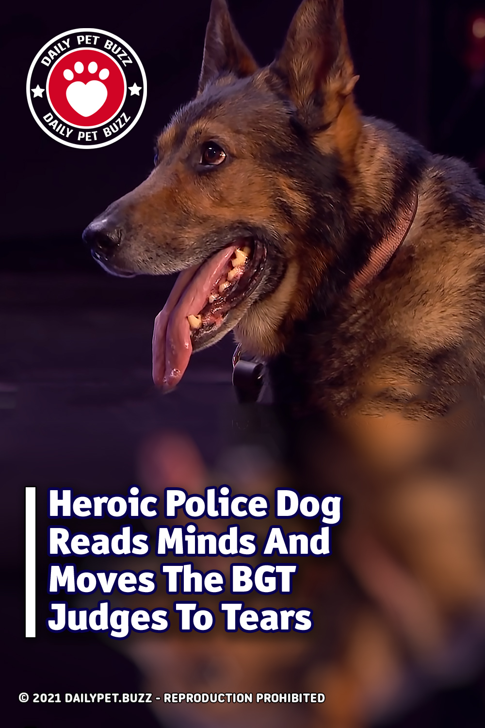 Heroic Police Dog Reads Minds And Moves The BGT Judges To Tears