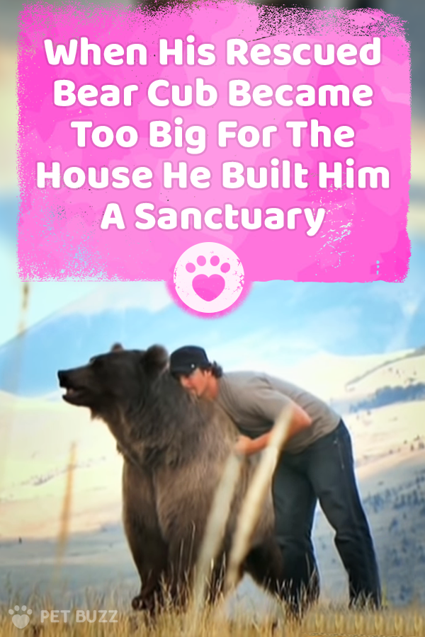 When His Rescued Bear Cub Became Too Big For The House He Built Him A Sanctuary