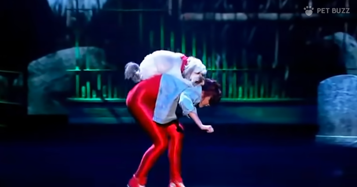 Ashleigh And Her Dog Pudsley Won BGT 2012 And This Video Shows Why They Won