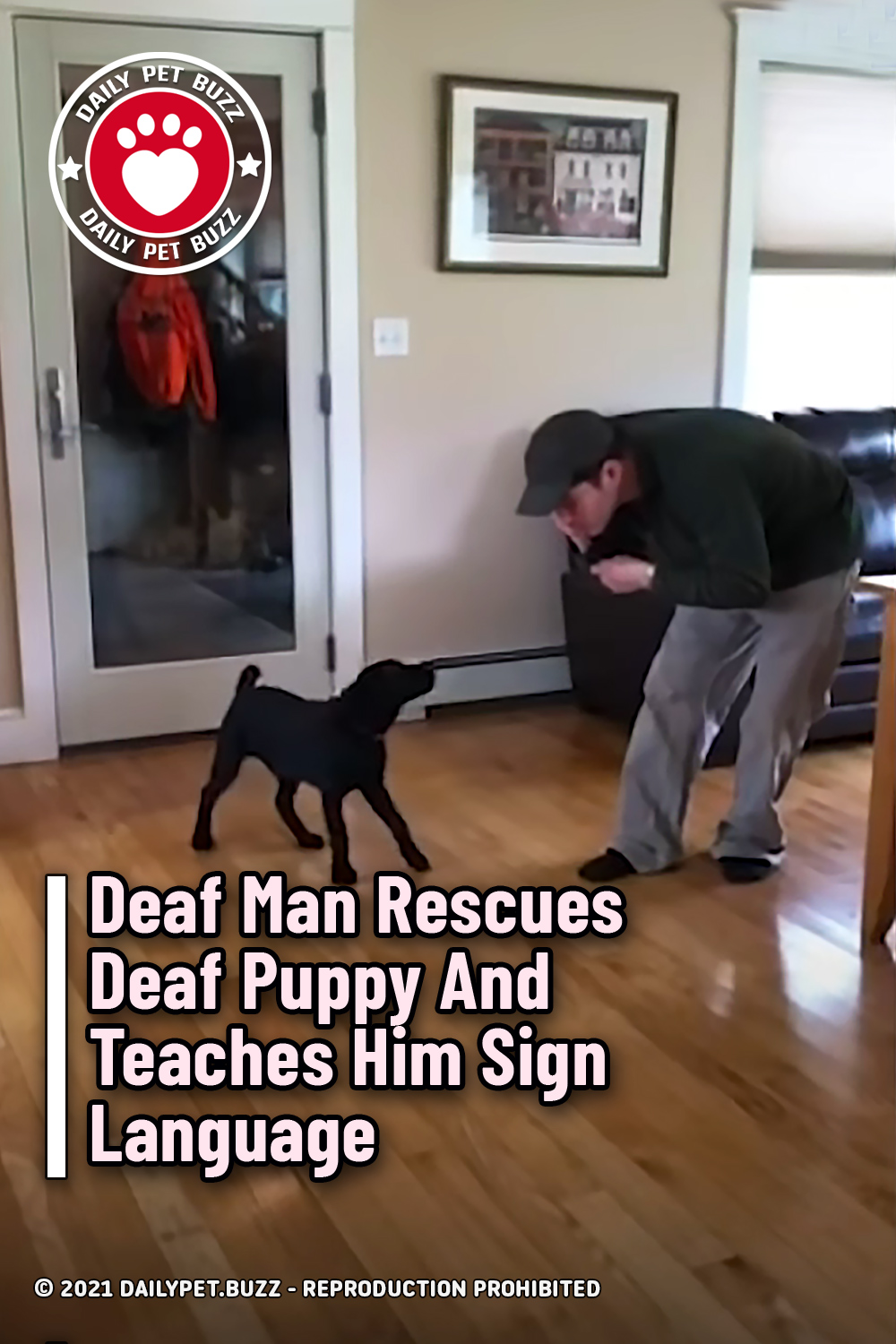 Deaf Man Rescues Deaf Puppy And Teaches Him Sign Language