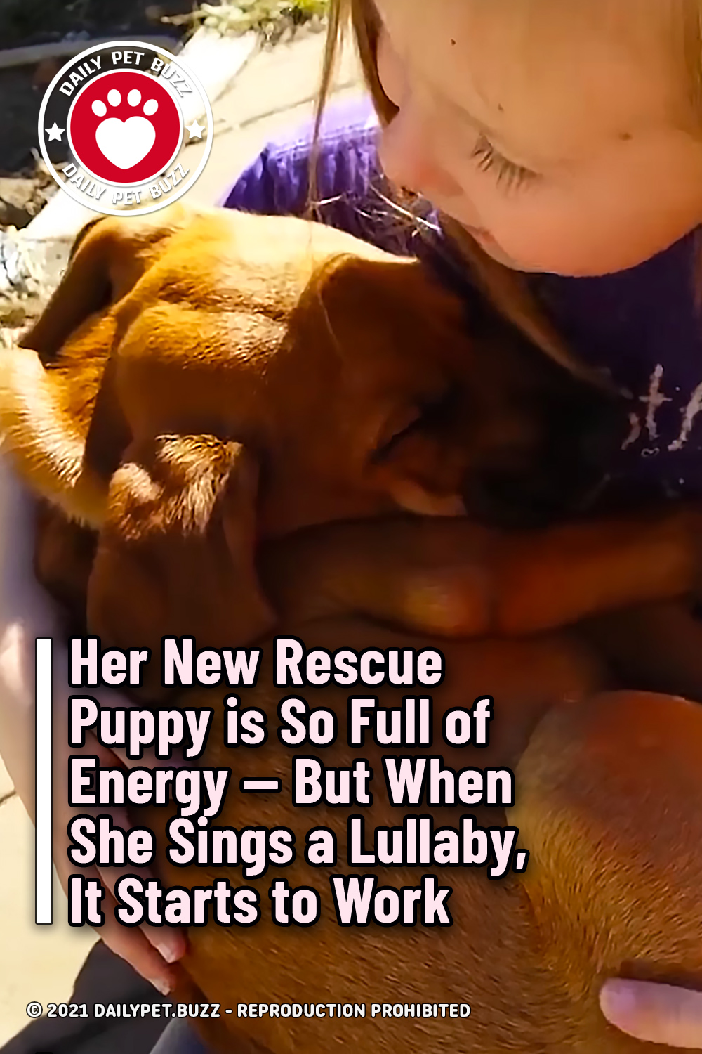Her New Rescue Puppy is So Full of Energy -- But When She Sings a Lullaby, It Starts to Work