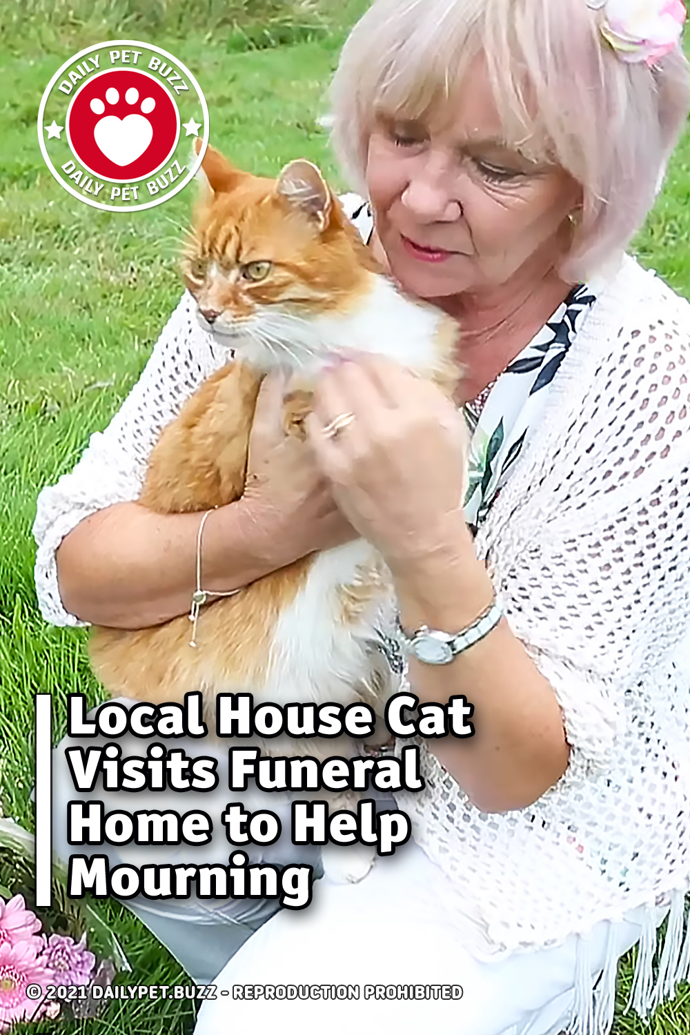 Local House Cat Visits Funeral Home to Help Those In Mourning