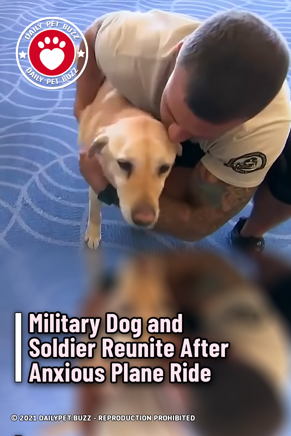 Military Dog and Soldier Reunite After Anxious Plane Ride