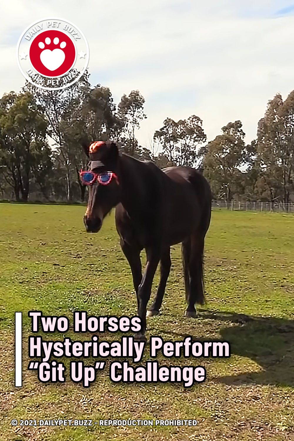 Two Horses Hysterically Perform “Git Up” Challenge