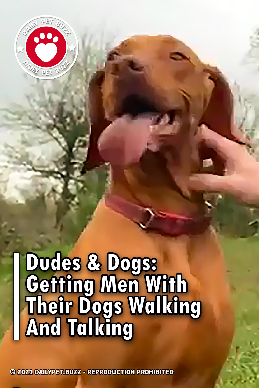 Dudes & Dogs: Getting Men With Their Dogs Walking And Talking