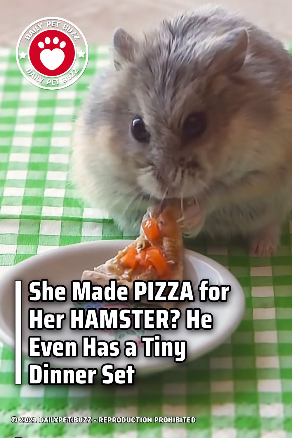 She Made PIZZA for Her HAMSTER? He Even Has a Tiny Dinner Set