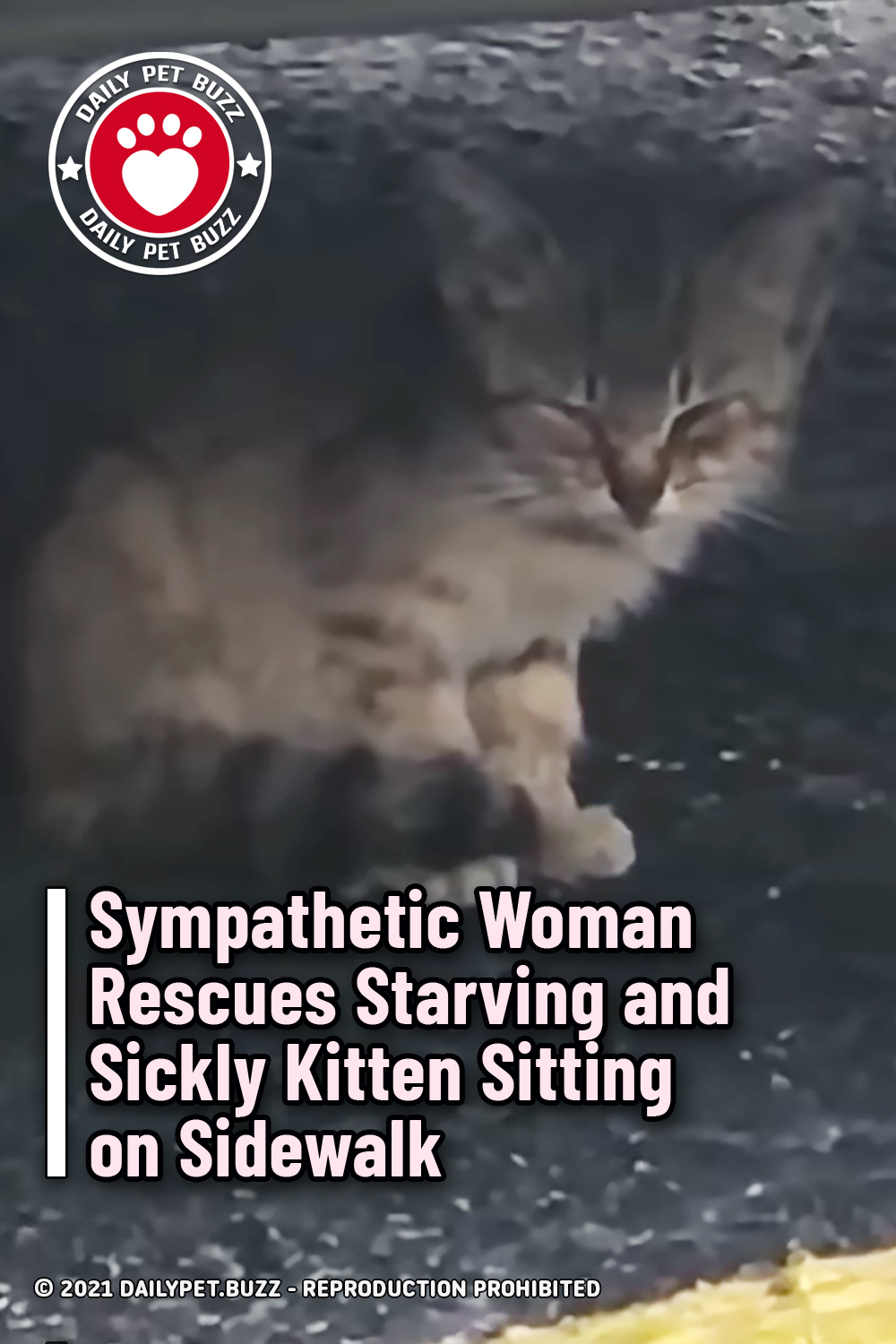 Sympathetic Woman Rescues Starving and Sickly Kitten Sitting on Sidewalk
