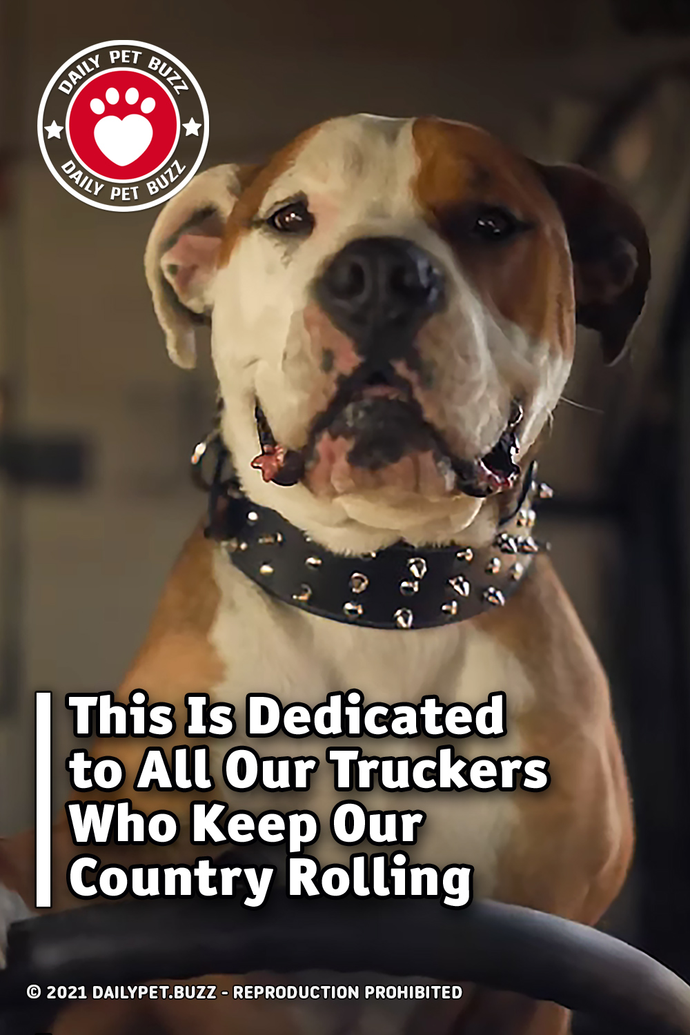 This Is Dedicated to All Our Truckers Who Keep Our Country Rolling