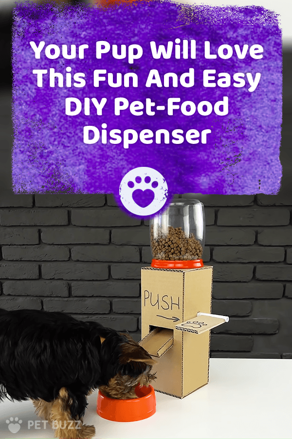 Your Pup Will Love This Fun And Easy DIY PetFood Dispenser Pet Buzz