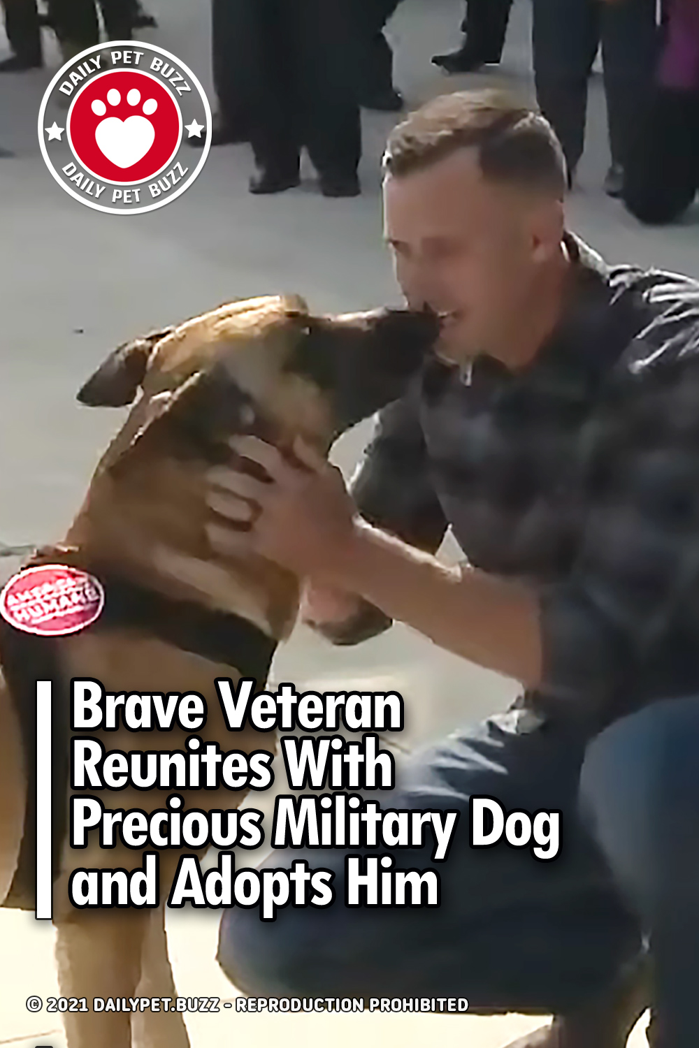 Brave Veteran Reunites With Precious Military Dog and Adopts Him