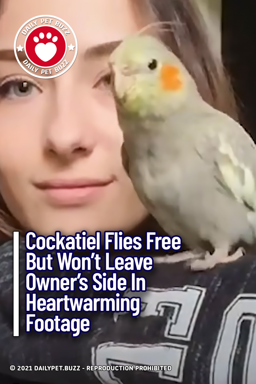 Cockatiel Flies Free But Won\'t Leave Owner\'s Side In Heartwarming Footage