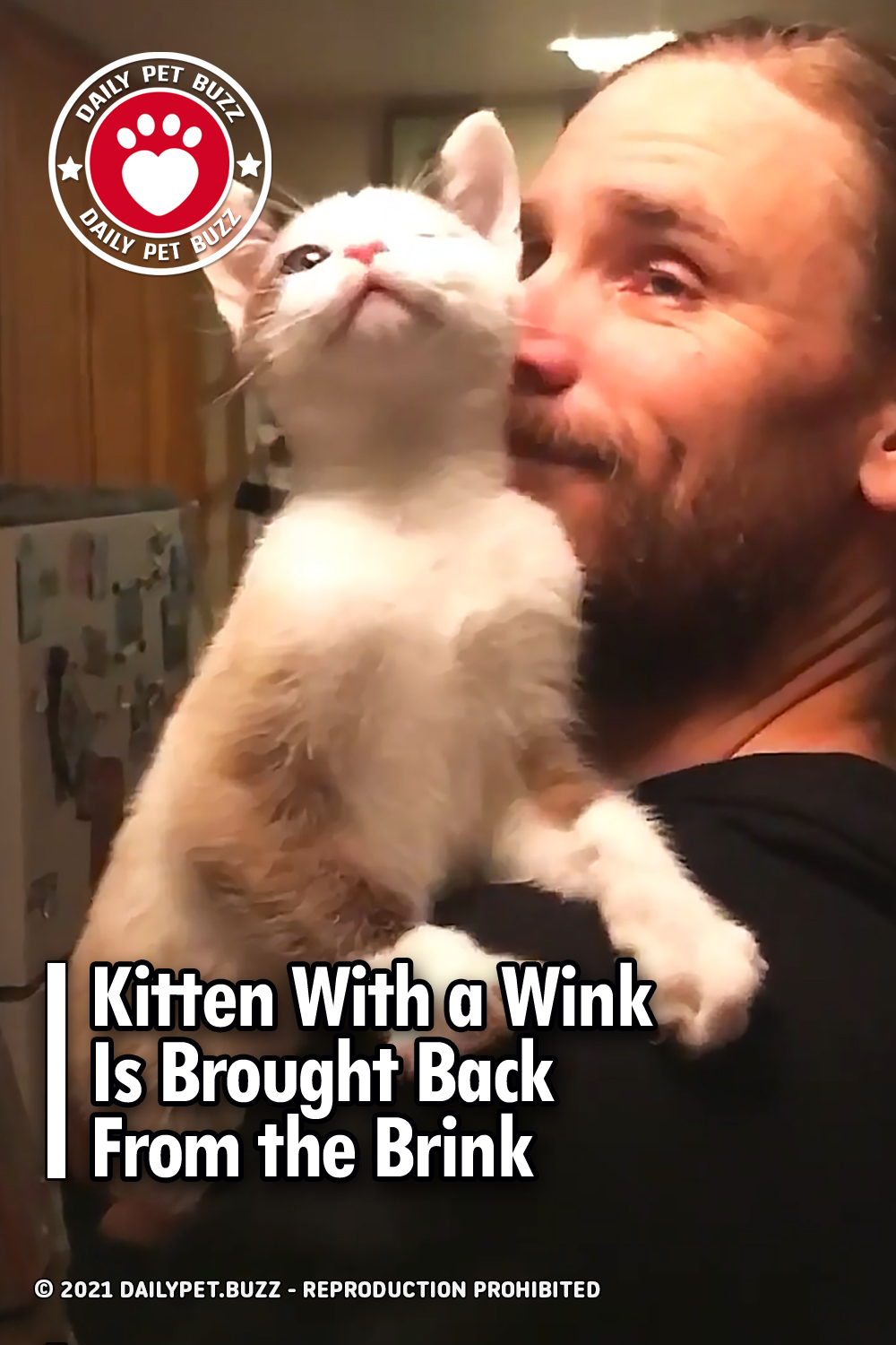 Kitten With a Wink Is Brought Back From the Brink