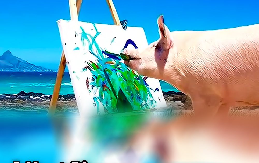 Pinterest Hidden Image