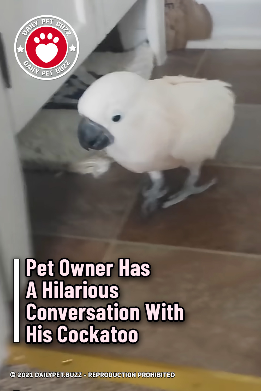 Pet Owner Has A Hilarious Conversation With His Cockatoo