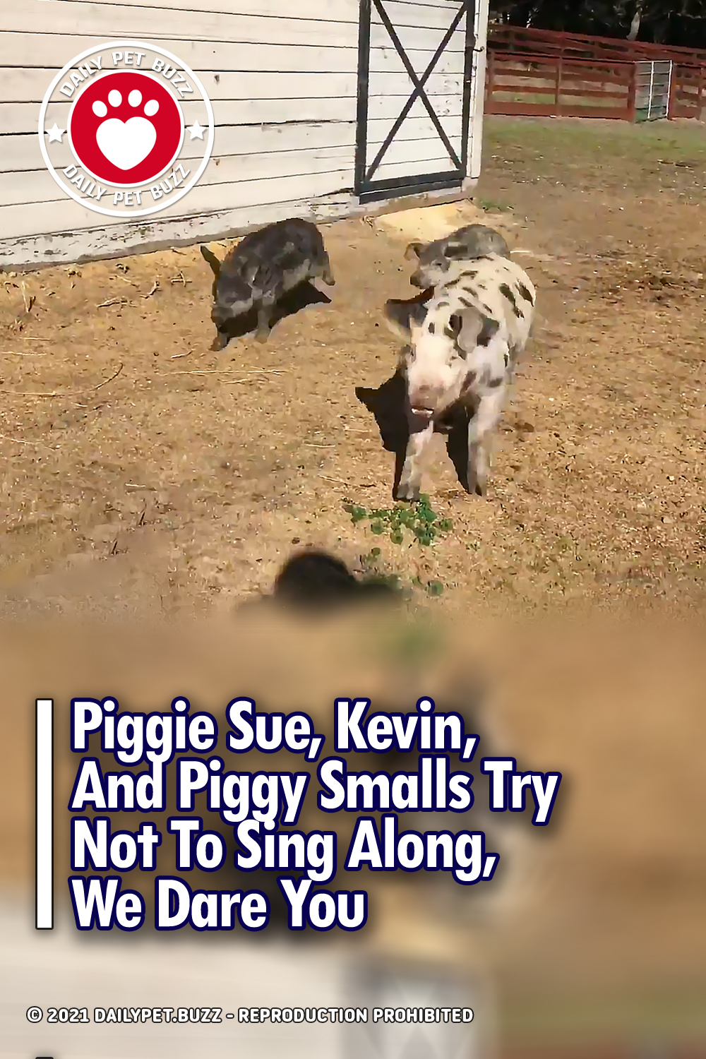Piggie Sue, Kevin, And Piggy Smalls Try Not To Sing Along, We Dare You