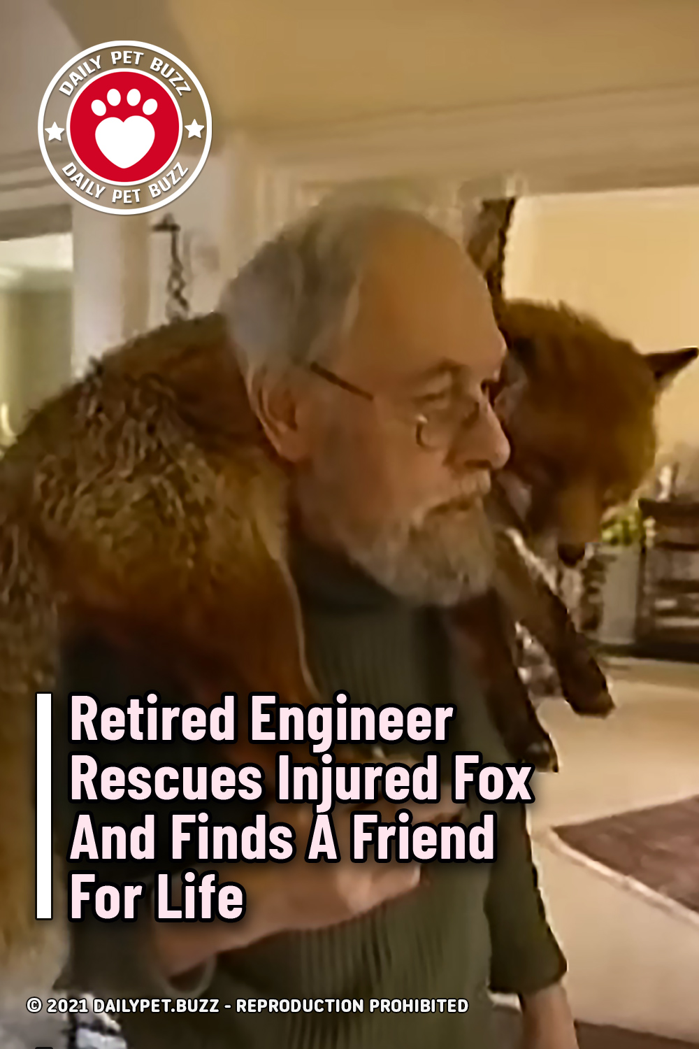 Retired Engineer Rescues Injured Fox And Finds A Friend For Life