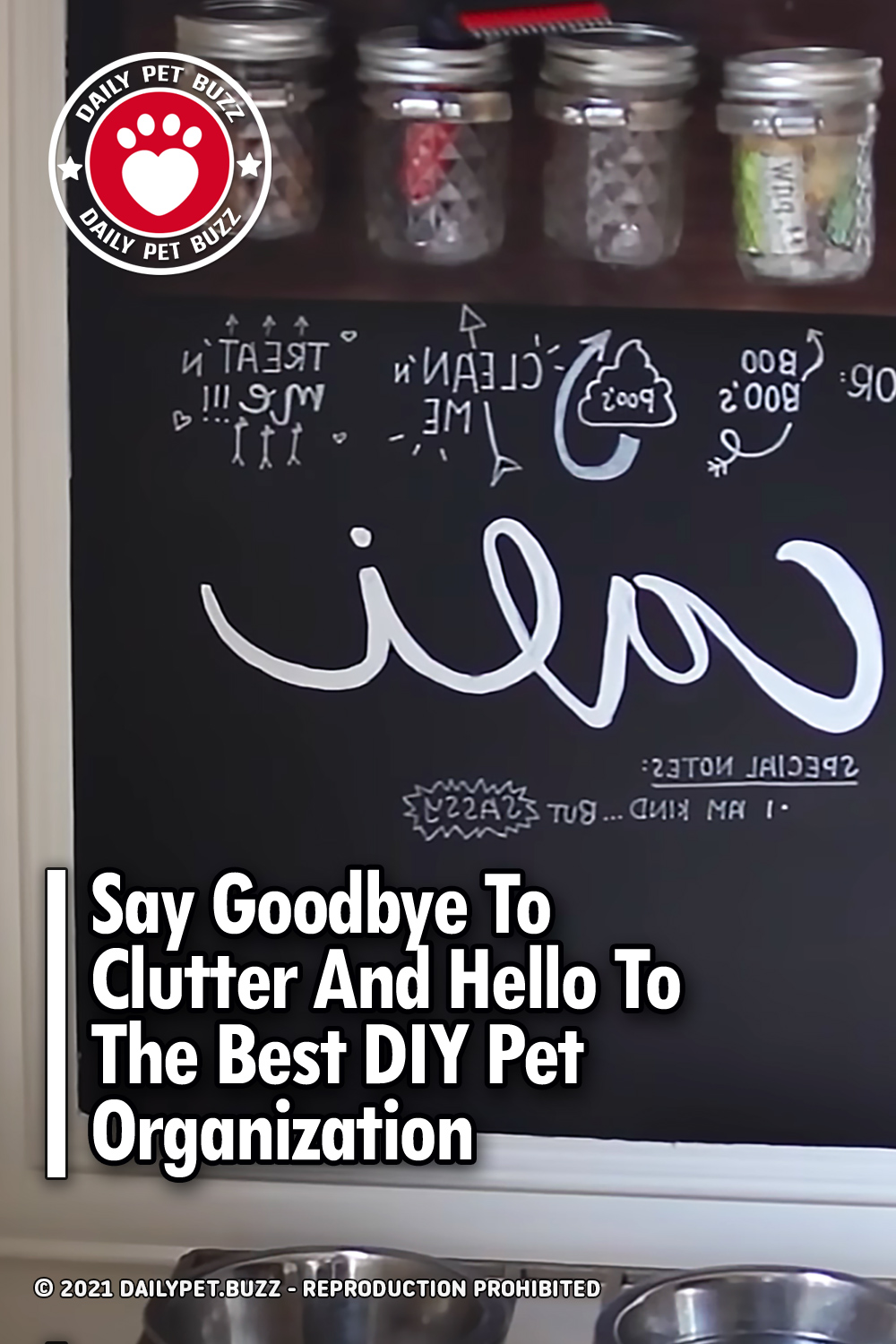 Say Goodbye To Clutter And Hello To The Best DIY Pet Organization