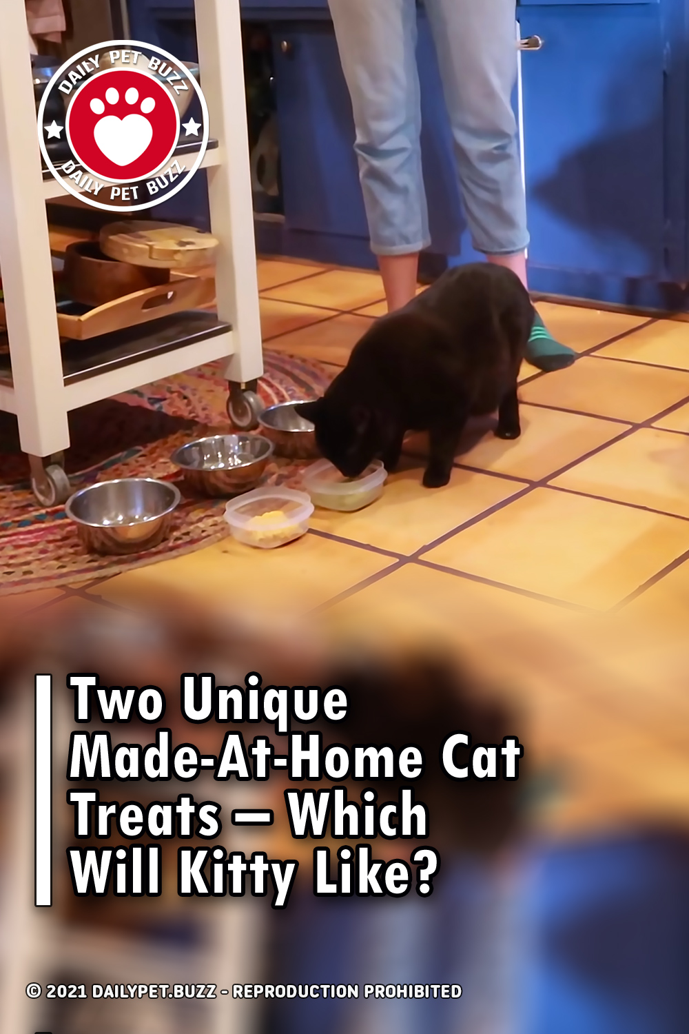 Two Unique Made-At-Home Cat Treats - Which Will Kitty Like?
