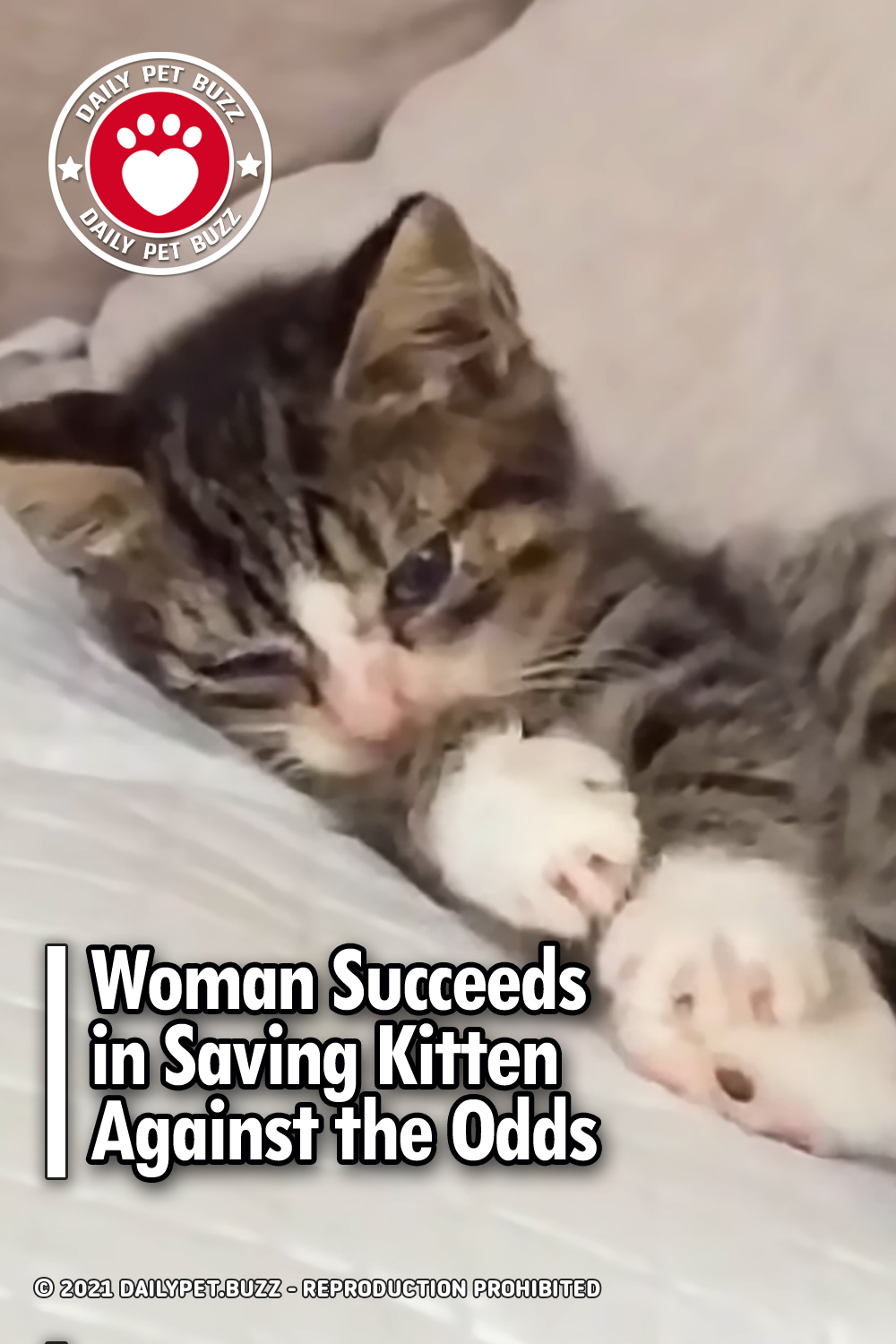 Woman Succeeds in Saving Kitten Against the Odds