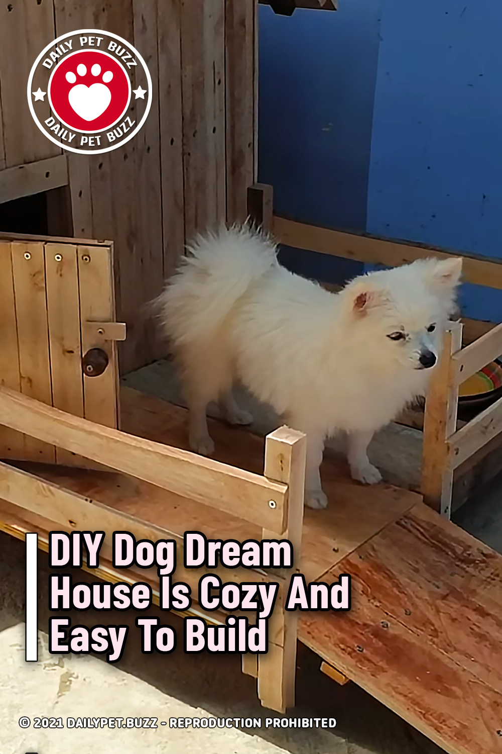 DIY Dog Dream House Is Cozy And Easy To Build
