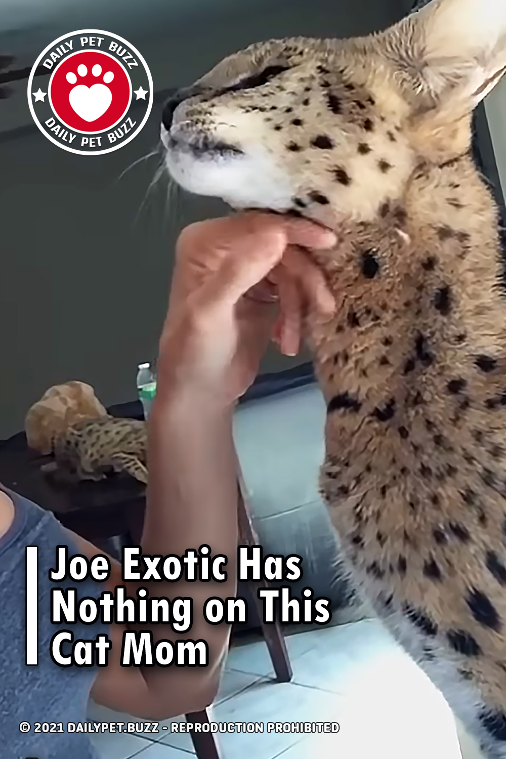 Joe Exotic Has Nothing on This Cat Mom