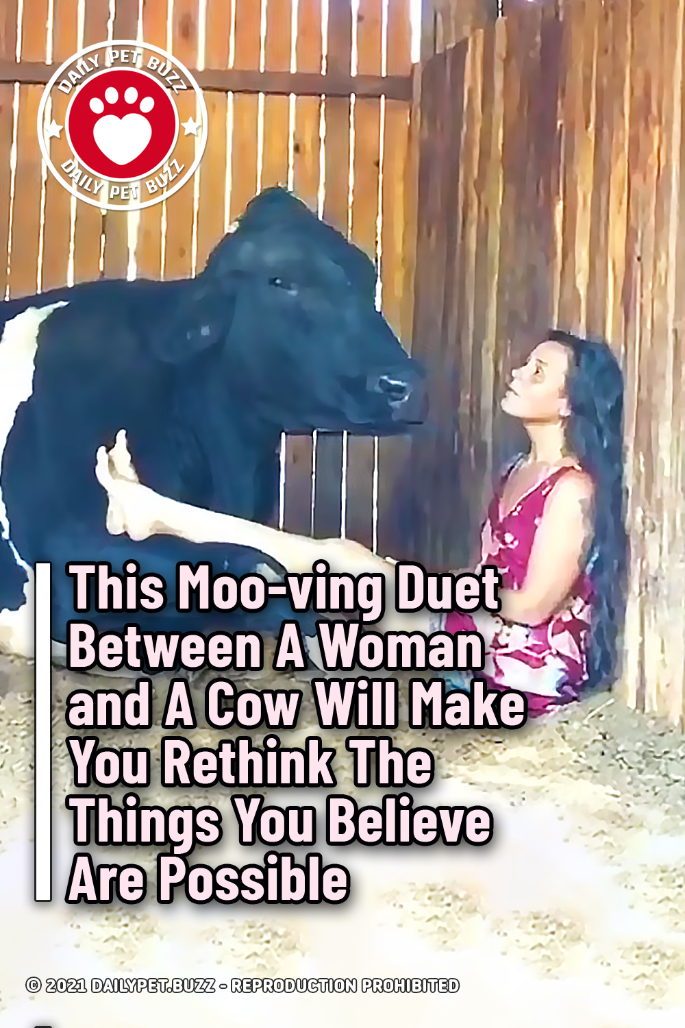 This Moo-ving Duet Between A Woman and A Cow Will Make You Rethink The Things You Believe Are Possible