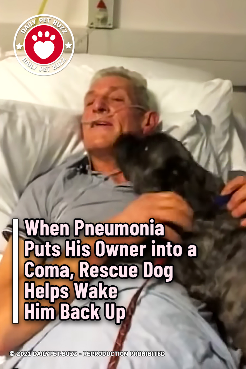 When Pneumonia Puts His Owner into a Coma, Rescue Dog Helps Wake Him Back Up