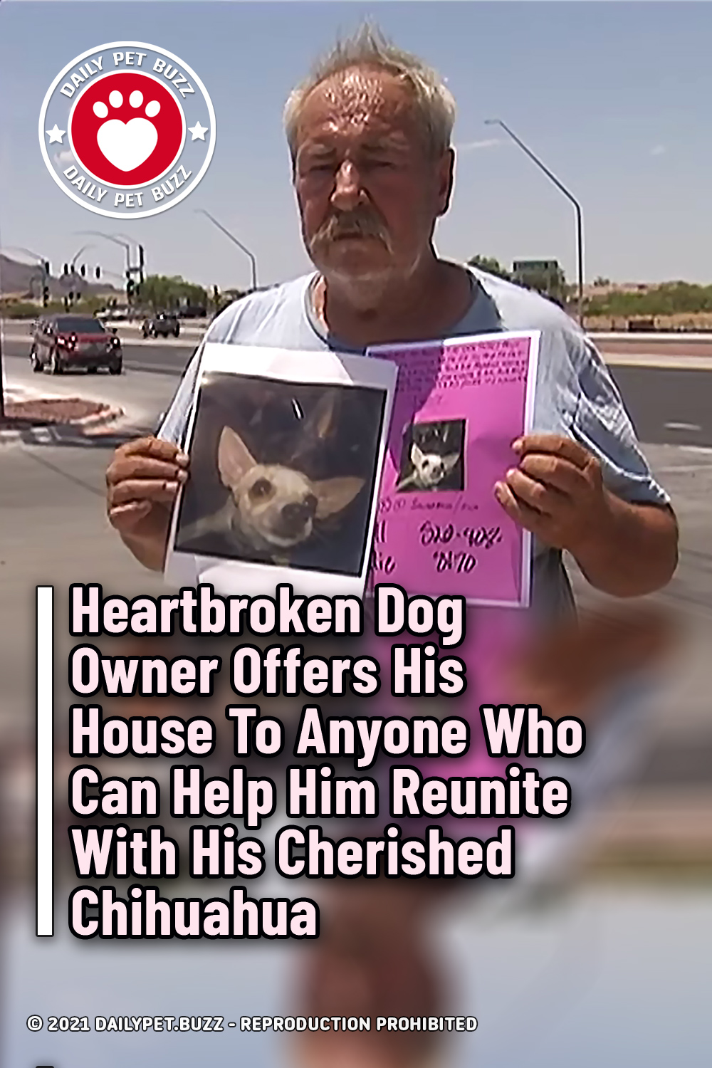 Heartbroken Dog Owner Offers His House To Anyone Who Can Help Him Reunite With His Cherished Chihuahua