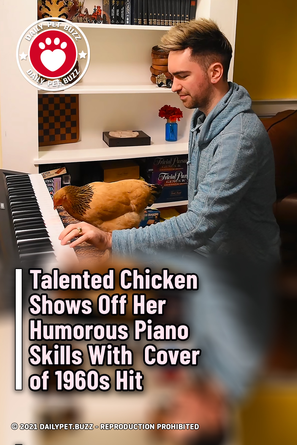 Talented Chicken Shows Off Her Humorous Piano Skills With  Cover of 1960s Hit