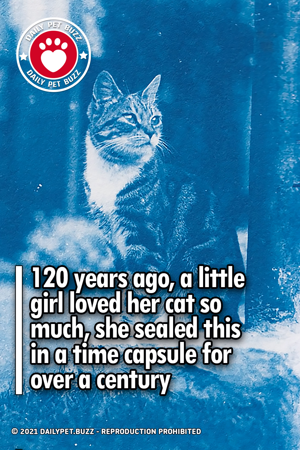 120 years ago, a little girl loved her cat so much, she sealed this in a time capsule for over a century