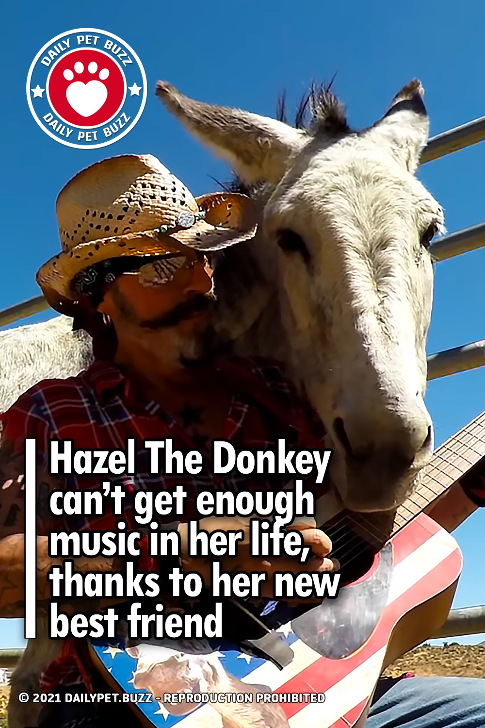 Hazel The Donkey can’t get enough music in her life, thanks to her new best friend