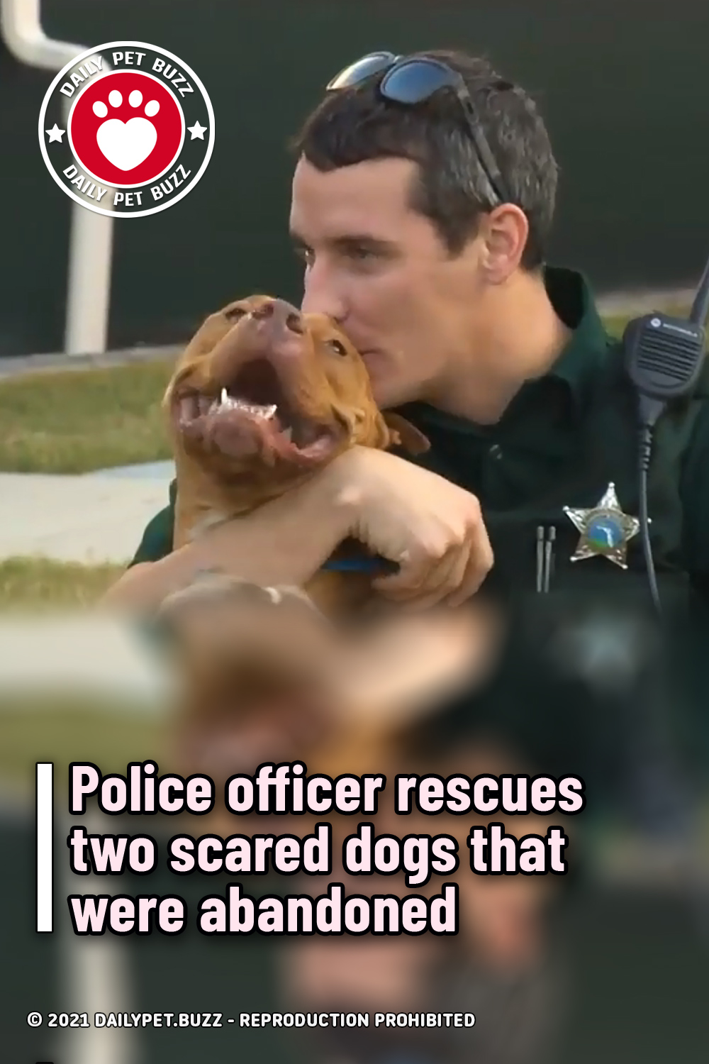 Police officer rescues two scared dogs that were abandoned