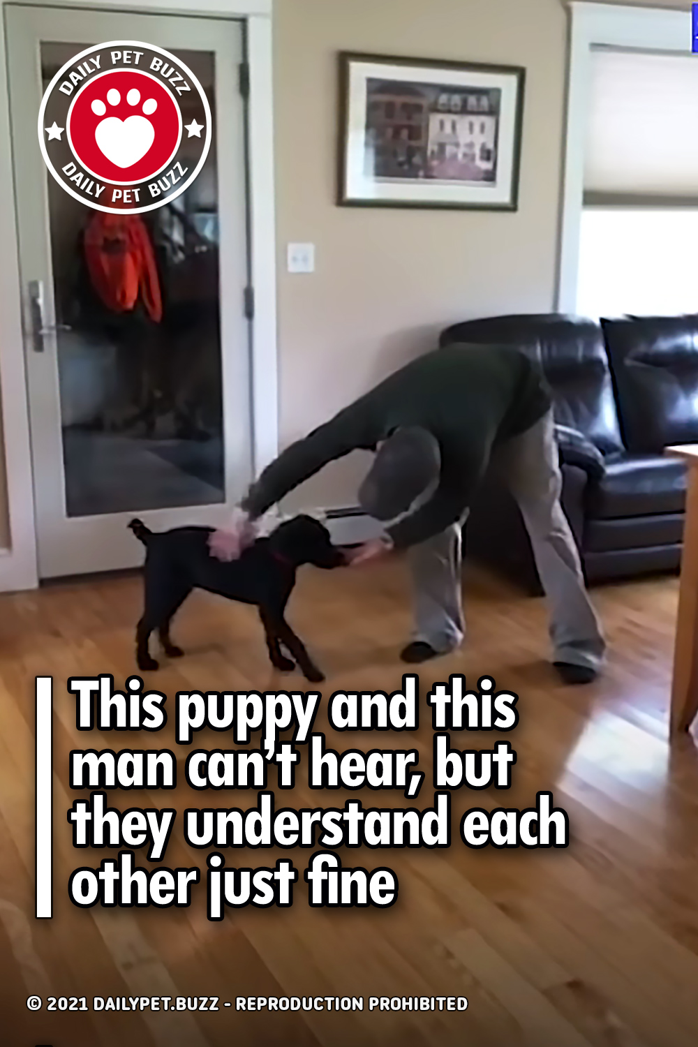 This puppy and this man can’t hear, but they understand each other just fine