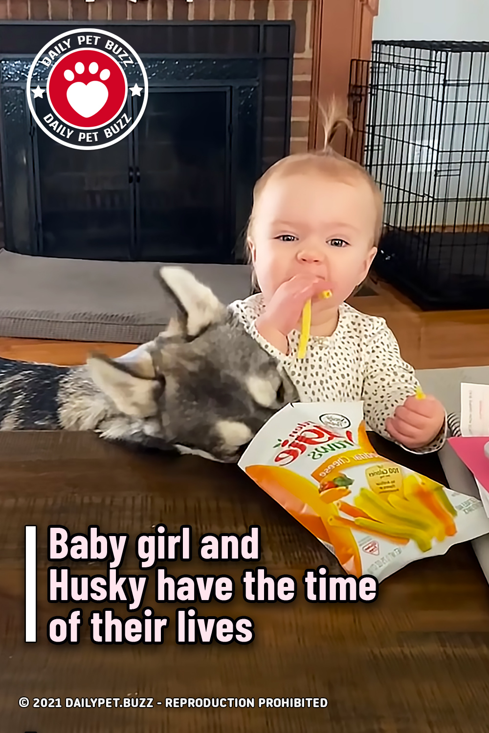 Baby girl and Husky have the time of their lives