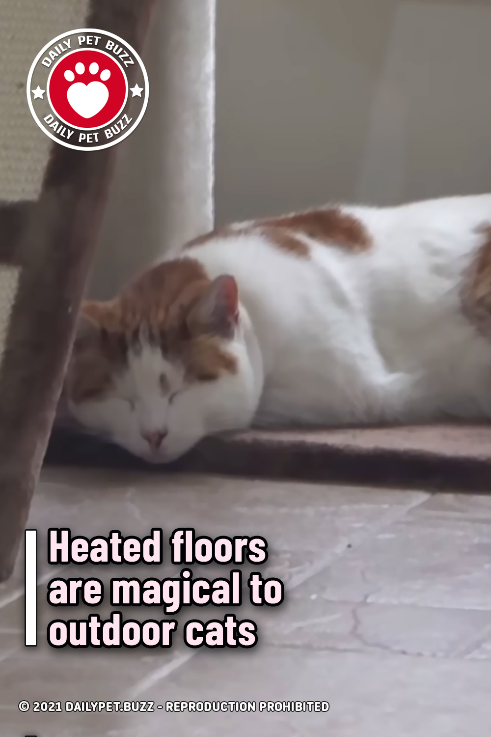 Heated floors are magical to outdoor cats