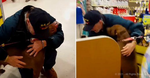 Dogs returned to veteran who lost them after a heart attack – Pet Buzz
