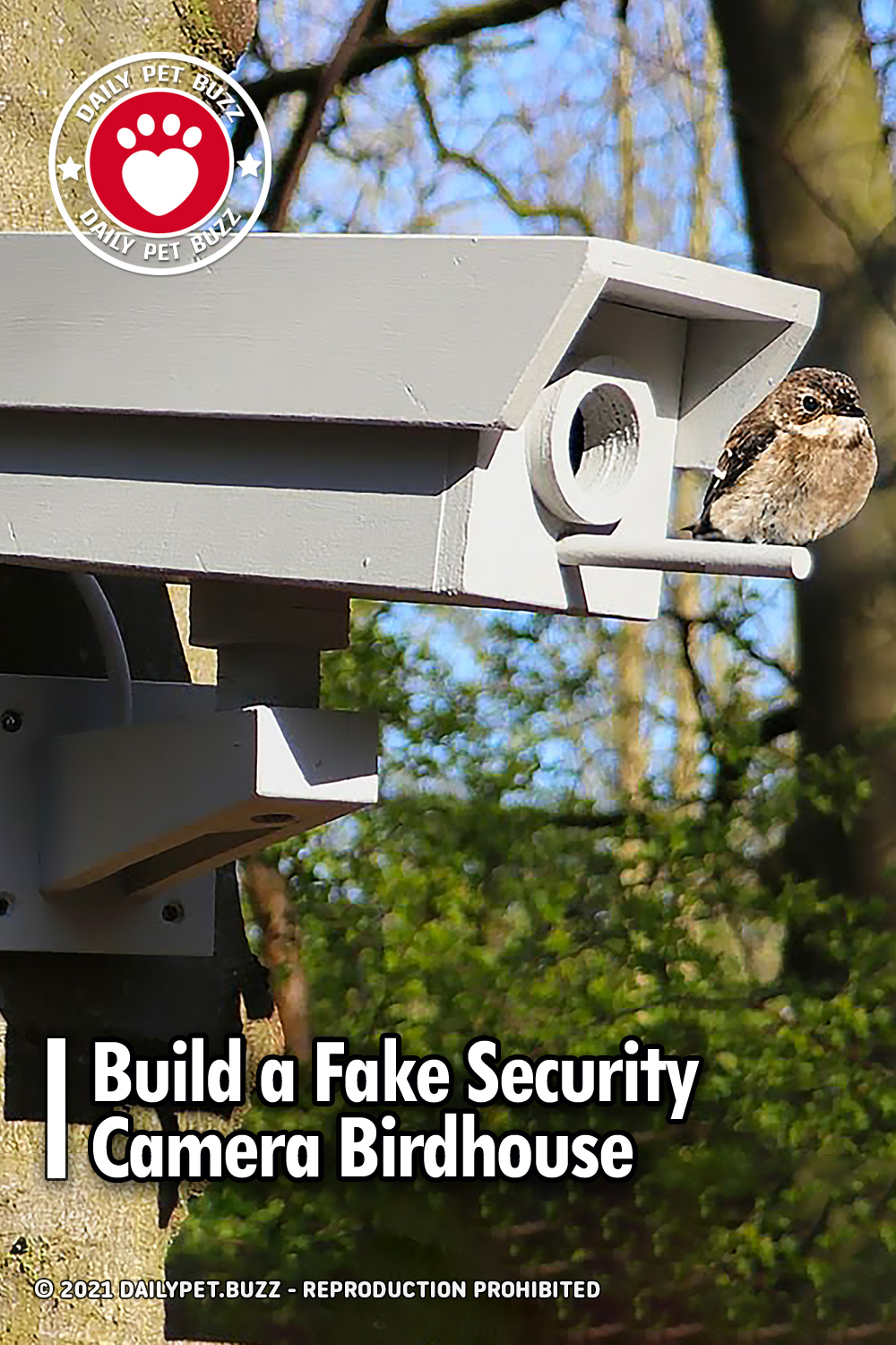 Build a Fake Security Camera Birdhouse