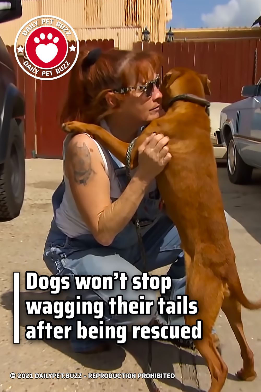 Dogs won’t stop wagging their tails after being rescued