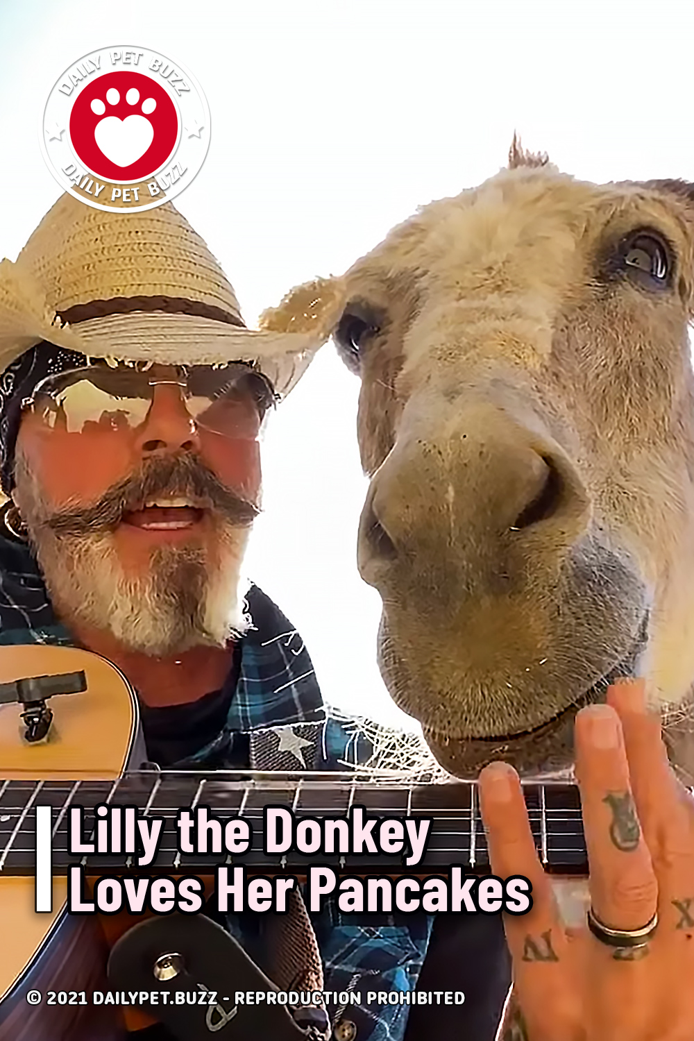 Lilly the Donkey Loves Her Pancakes