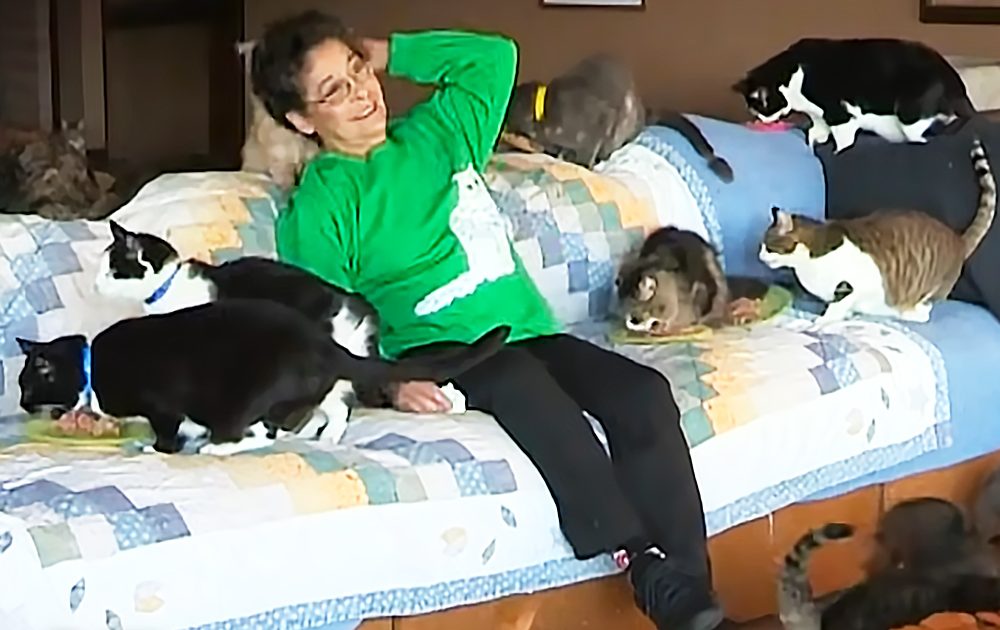 Pinterest Hidden Image