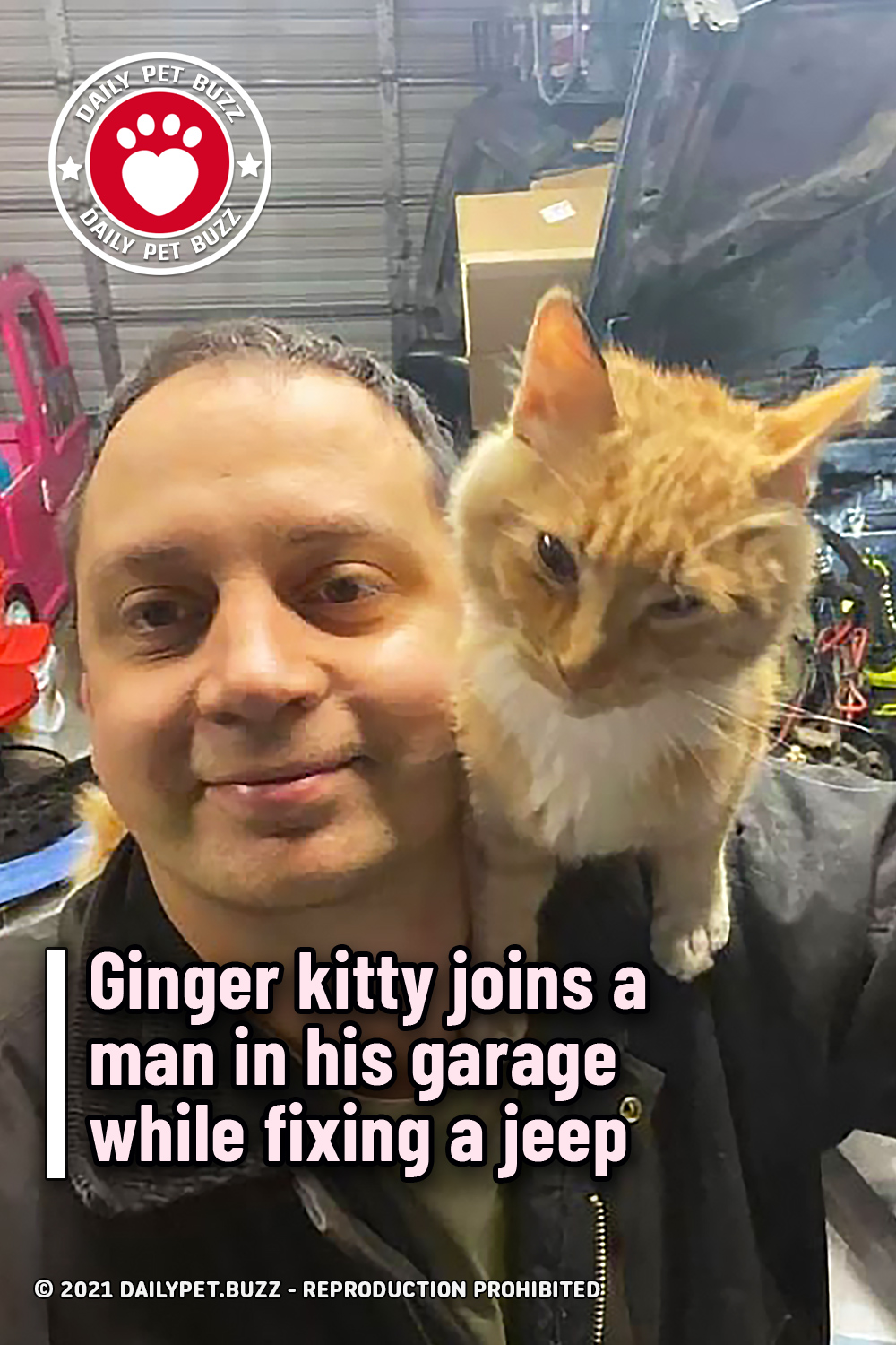 Ginger kitty joins a man in his garage while fixing a jeep