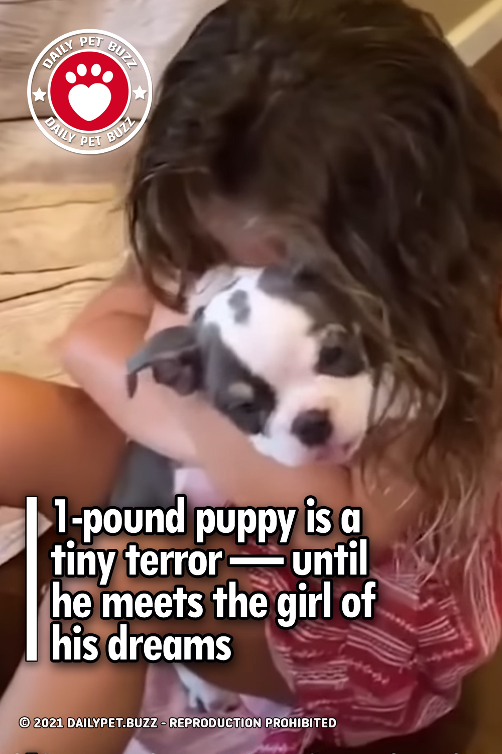 1-pound puppy is a tiny terror — until he meets the girl of his dreams