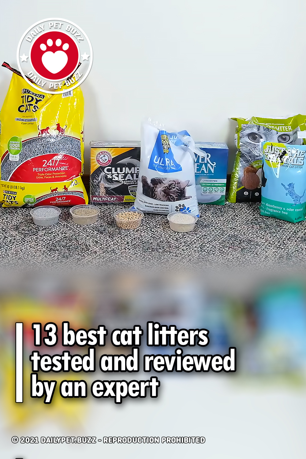 13 best cat litters tested and reviewed by an expert