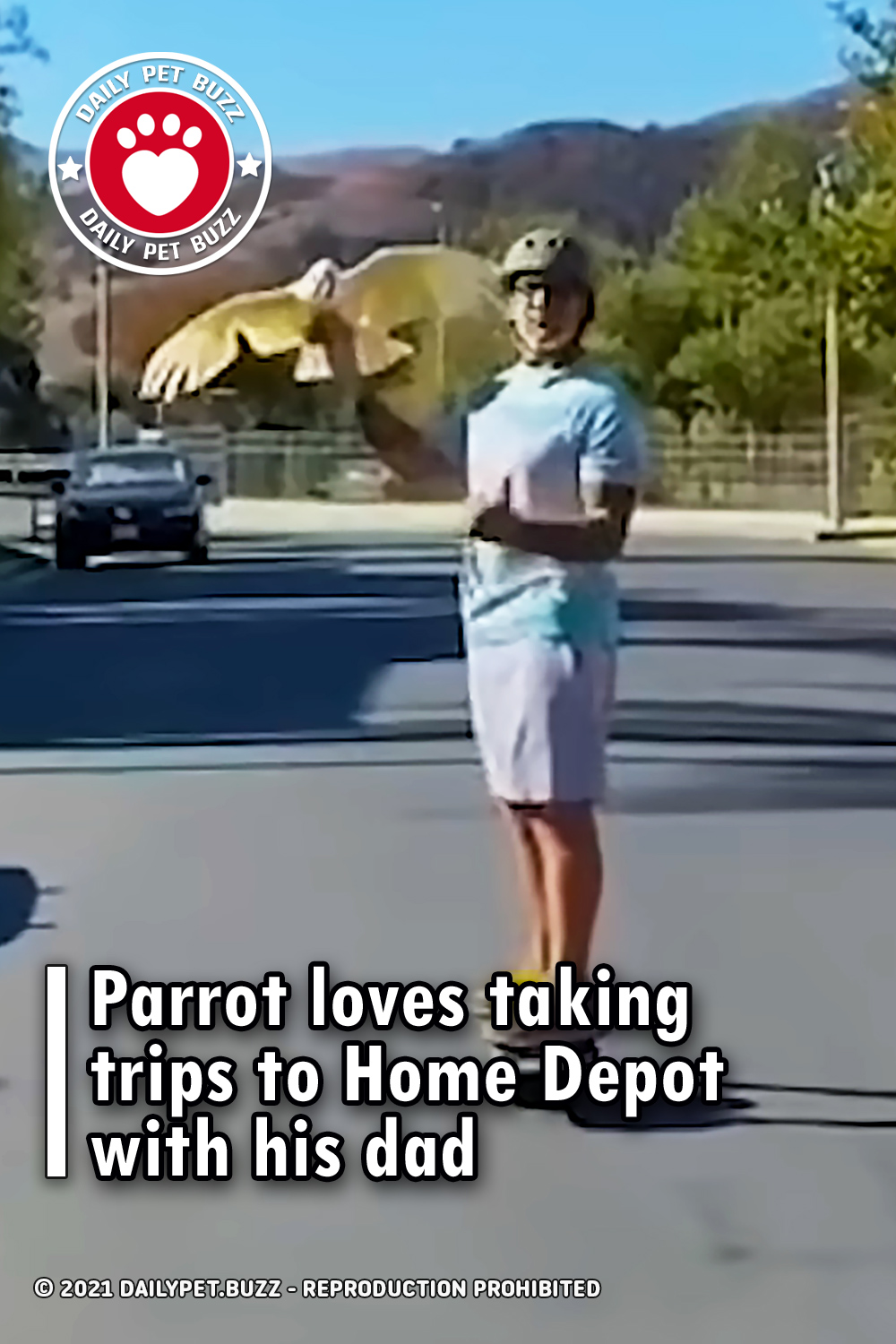 Parrot loves taking trips to Home Depot with his dad