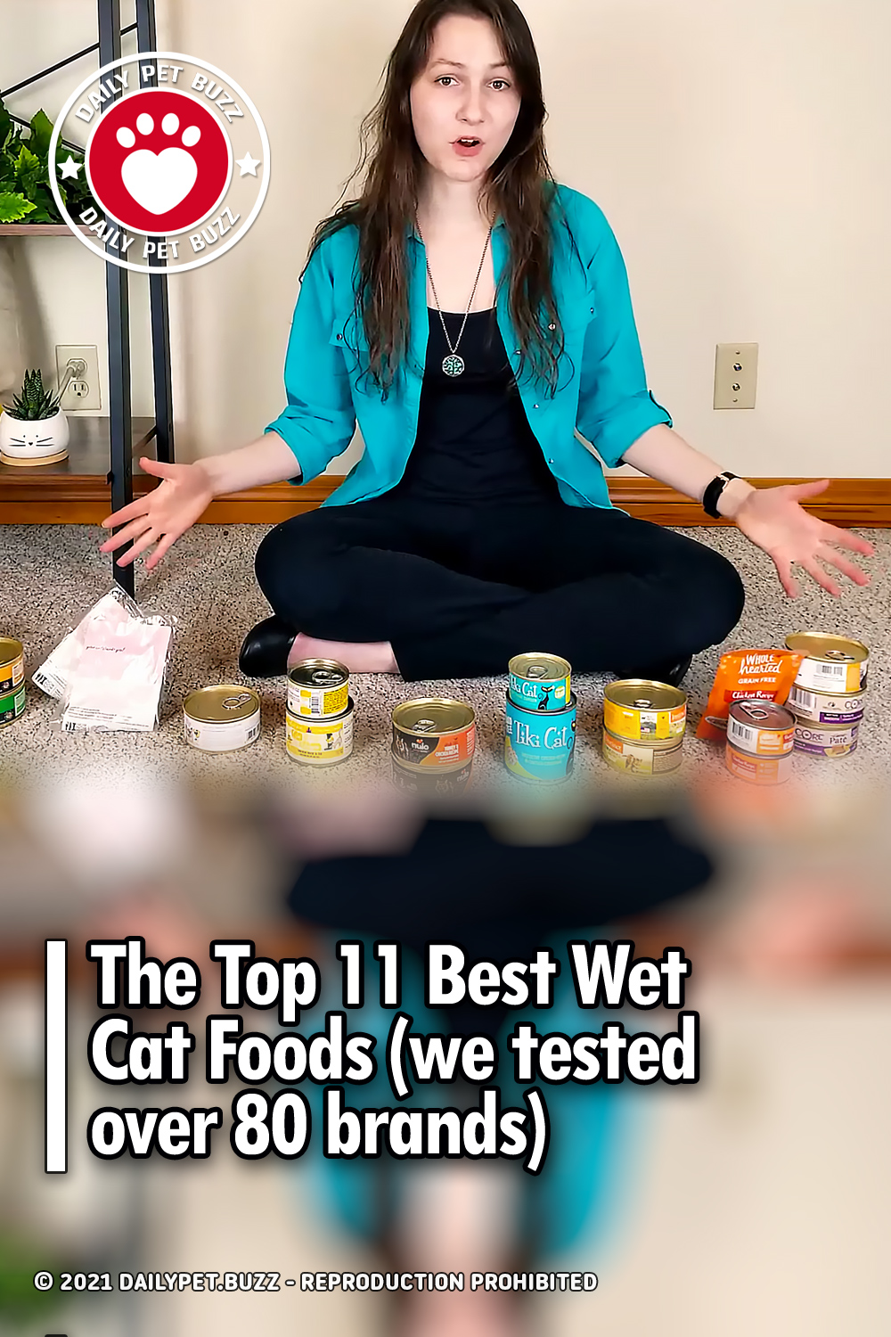 Top 11 Best Wet Cat Food Brands (We Tested 80 of Them)